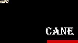 DominaScarlet - Testing My Three New Canes