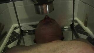 TheEnglishMansion - At Veronica's Convenience