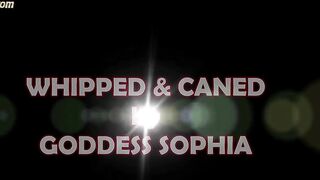 Whipped & Caned by Goddess Sophia