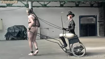 TheEnglishMansion - Vintage Pony Carting