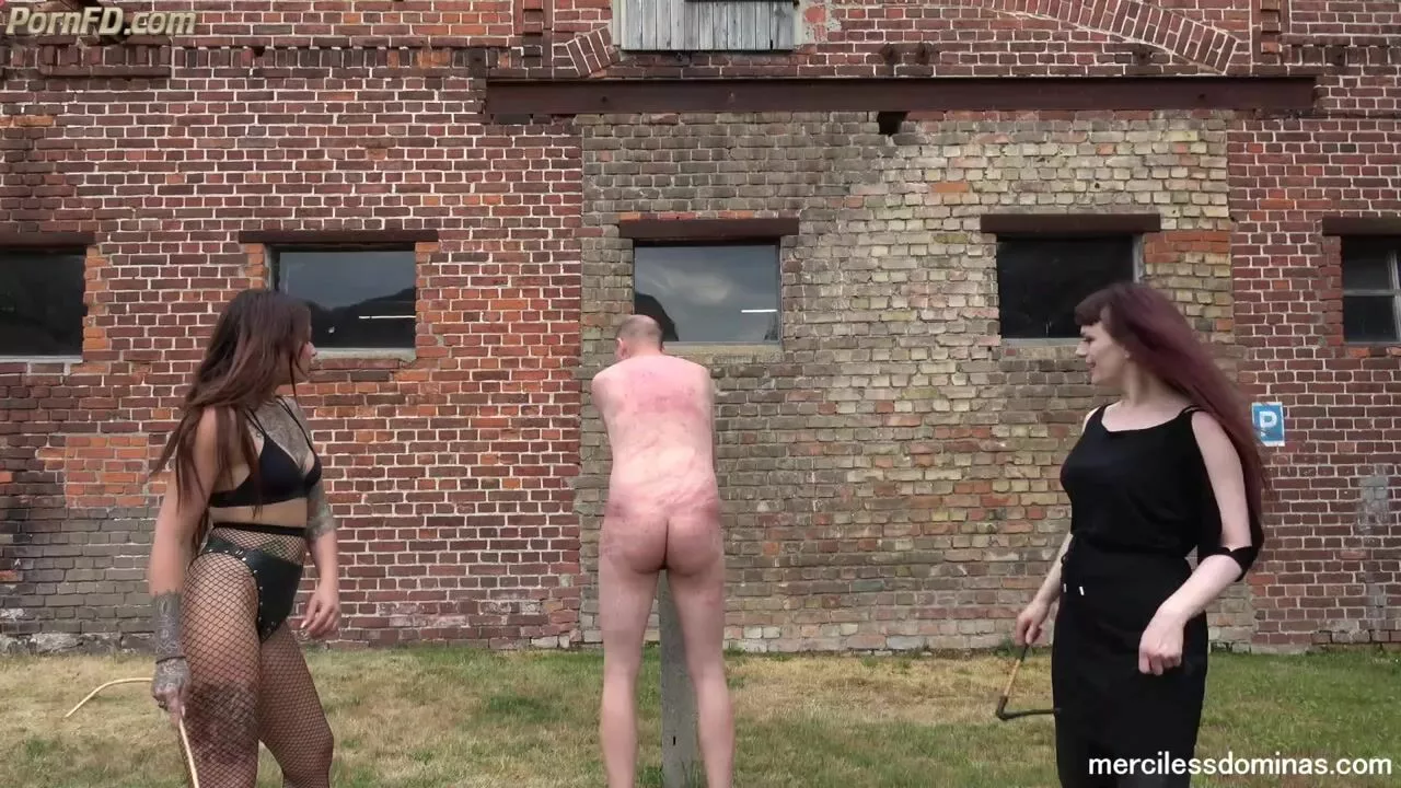 mercilessdominas MercilessDominas - Friendly Competition - FemdomVC
