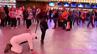 THE MEAN GIRLS CLUB - Public Mutt Crawl