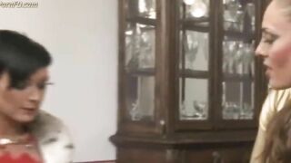 Dog slave training
