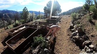 BRUTAL MASTER Greyhound Daily Routine