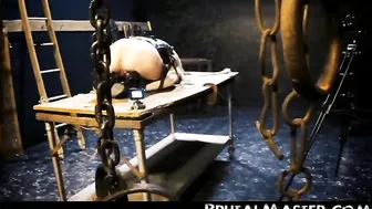 BRUTAL MASTER Pig Packages For Punishment