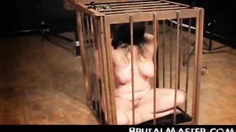 BRUTAL MASTER Udders Blueberry Pancakes