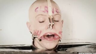 BRUTAL MASTER - Greyhound Humiliation Box