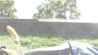 dymes executrix