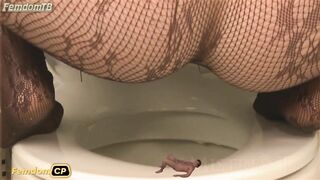 Mistress T - Little_Toilet_Slave