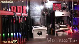Mistress T - brainwashed_toilet_slave