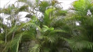 Dava Foxx - Summer Vacation - FamilyTherapy