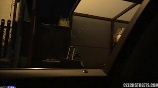 Pregnant Lady in Distress - CzechStreets