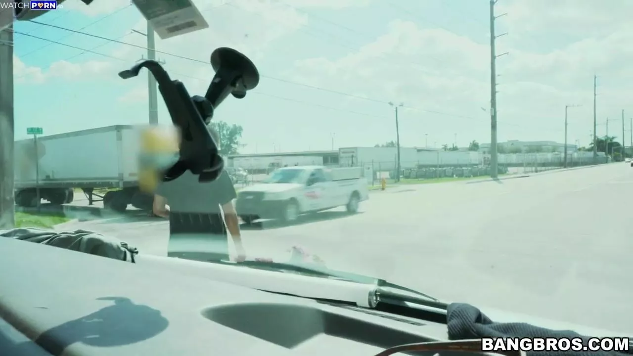 Rachel Starr - Rachel Starr Fucks a Florist - BangBus