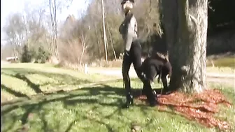 DomBoss - 212019 - 5