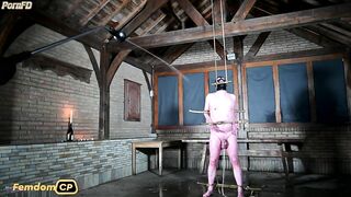 MistressLadyRenee - Predicament Bondaged Up Bitch