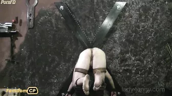 Lady-Jenny - He Cries Like a Pig