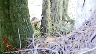 Xev Bellringer - Seducing my Brother at Camp 2