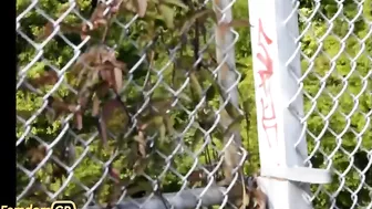 Winnie Cooper A Day At The Beach Foot Fetish