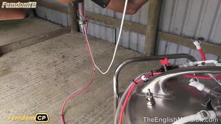 TheEnglishMansion - Milking Bay 42