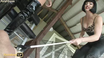 Jean Bardot & Kylie Milking Part 3 - s569 jean bardot kylie rogue part 3