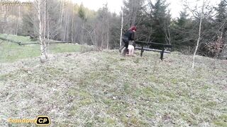 DanishFemdom - Walk the Doggy