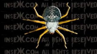 INSEX - Blow By Blow, Part 2 (Live Feed From April 2, 2005) (912)