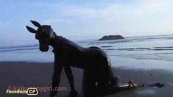 Lezdom - Bailey Is Spanked To Tears For Infractions