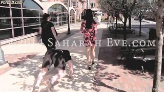 Saharah Eve - Ashtray and Stroll