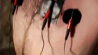 CaptiveMale - 136 Harmony, Oscar Beyer