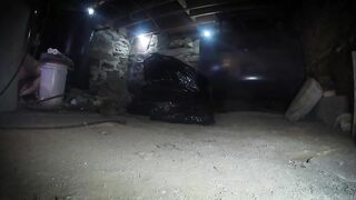 BRUTAL MASTER - Greyhound Boiler Room The Movie