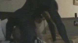 Sex at a Party Asian Girl Fucked by Black Men