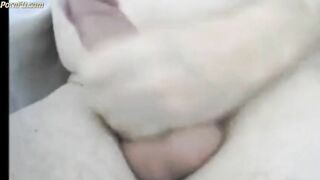Dad wanking & cumming on cam 2