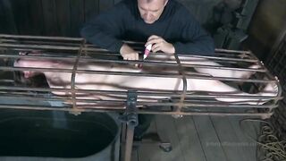 INFERNAL RESTRAINTS - Hazel Hypnotic