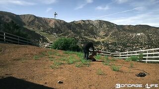 BondageLife BrutalMaster, Rachel Greyhound - You're The Fucking Pony