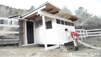 BondageLife Rachel Greyhound - Chicken Coop Painting Part 2