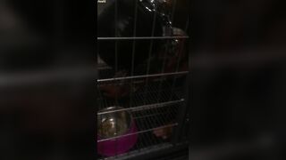 Chinese Femdom Live - 9122019 - 49
