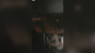 Chinese Femdom Live - 12122019 - 53