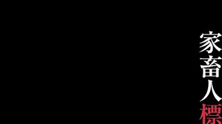 DRP-08