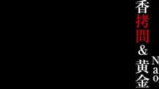 DRP-12