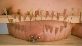 Breasts In Pain Needle Punishment for Cat.mp4