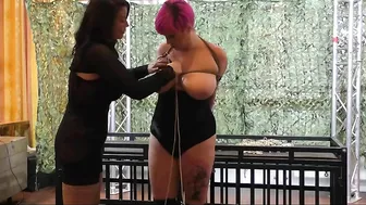 Breasts In Pain Nova Pink - handled by JJ Plush 2