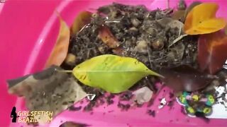 Girlsfetishbrazil Garbage Eating Humiliation