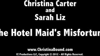 The hotel maid s misfortune