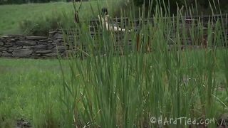 HARDTIED - ﻿﻿Katharine Cane Unpolished