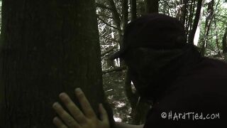 HARDTIED - ﻿Cherry Torn - A Walk In the Park