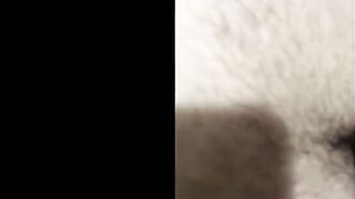 two Turkish daddies bareback sex