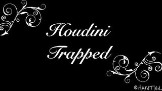 HARDTIED - ﻿﻿﻿Tracey Sweet Houdini Trapped