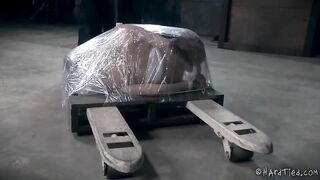 HARDTIED - ﻿Abigail Dupree AbbyBot