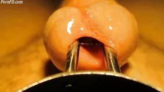 Urethral sounding and stretching with cumshot