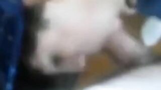 Amateur teen sucking his friends dick 3